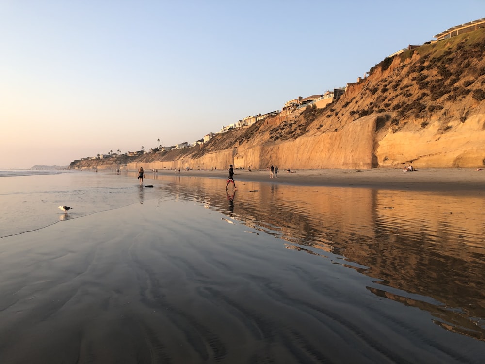 people walking on a beach