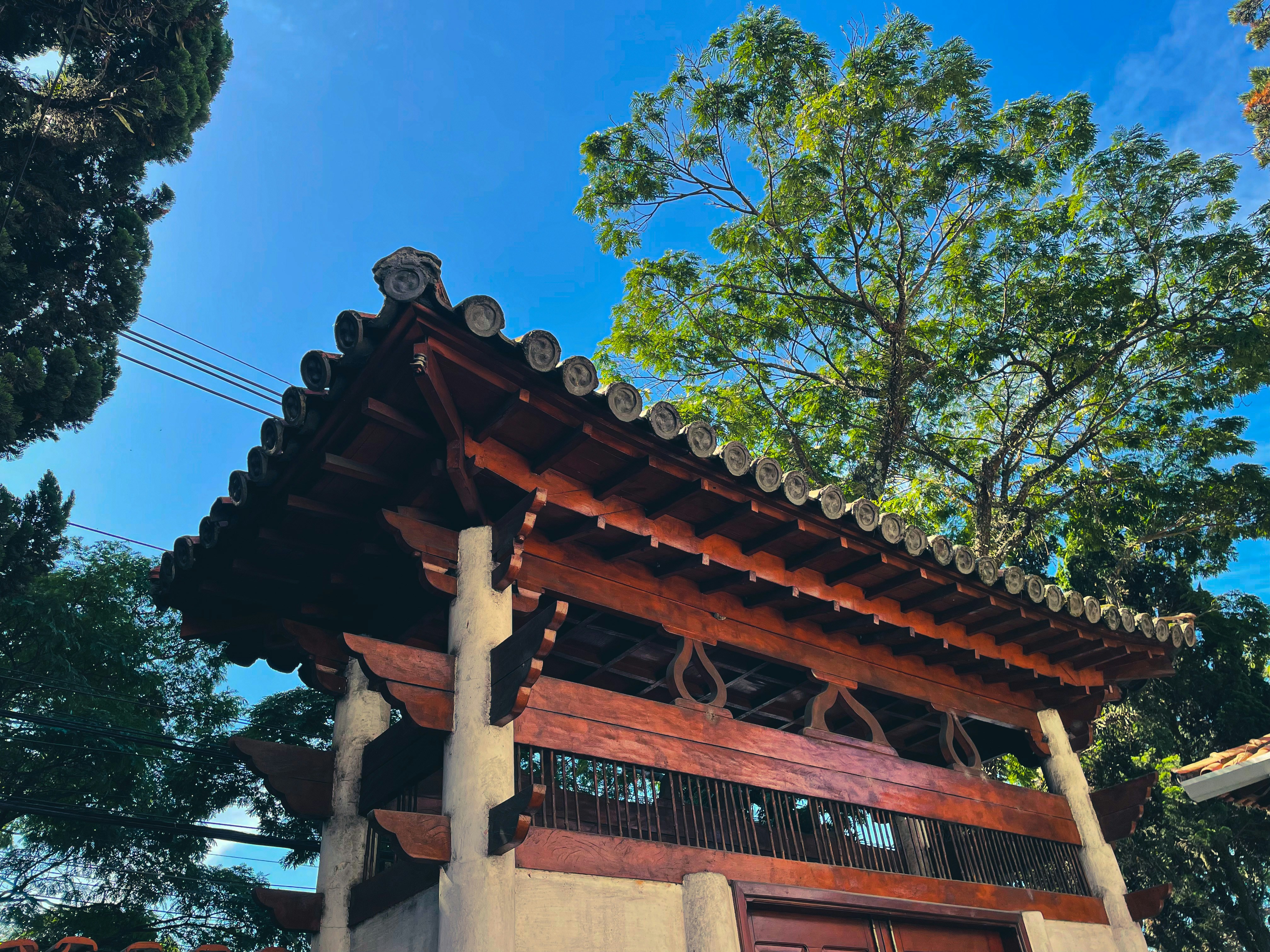 Photo by junitikawa