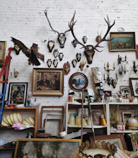 A vibrant gallery wall showcasing successful hunts with proud hunters and their trophies.