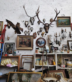 A vibrant gallery wall showcasing successful hunts with proud hunters and their trophies.
