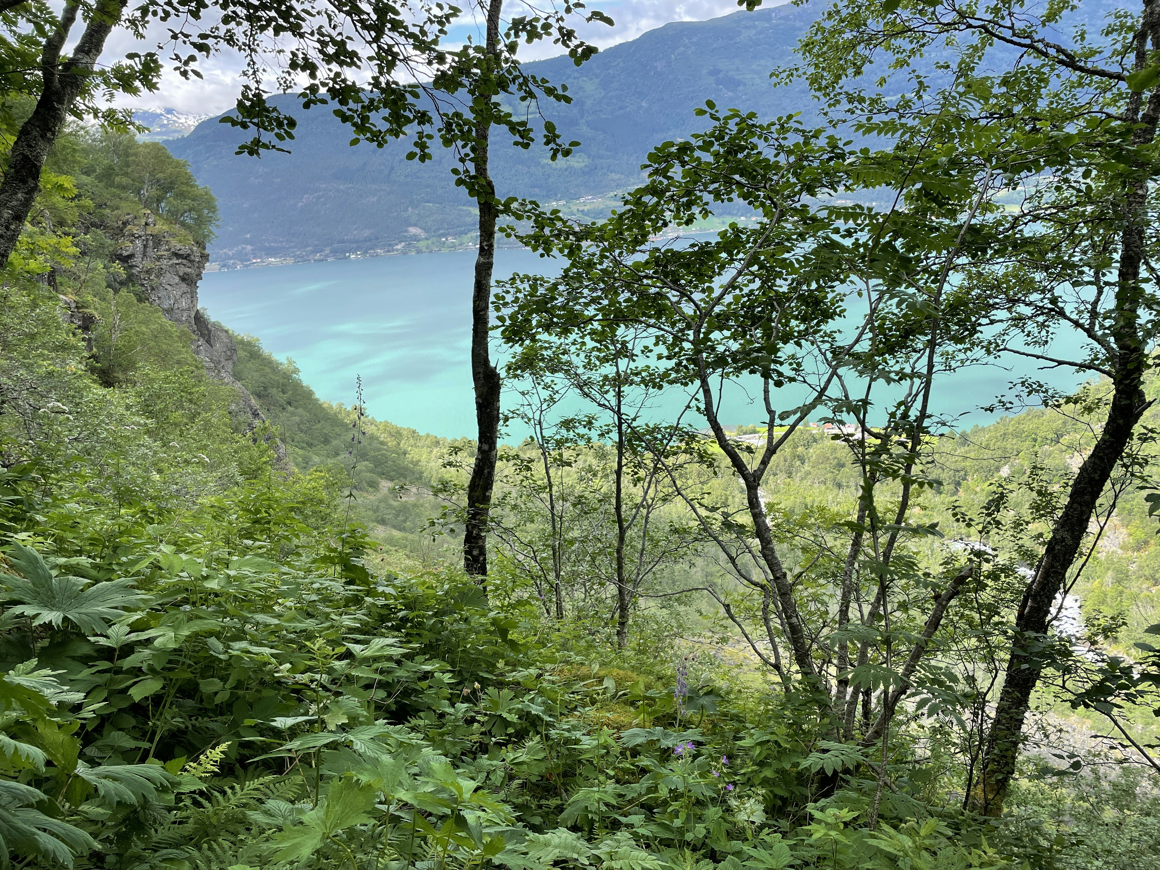 Photo by hecticaesthetic