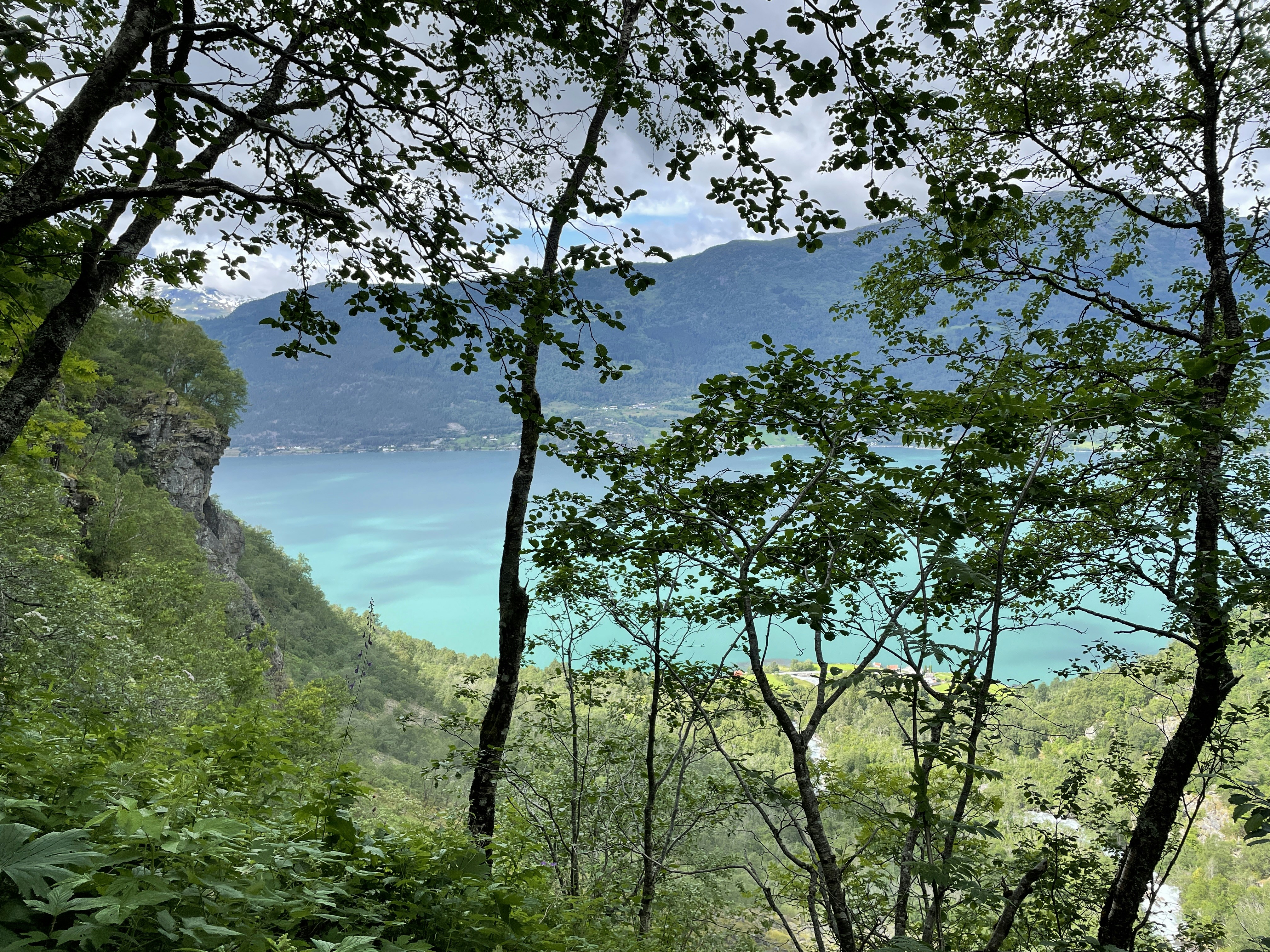 Photo by hecticaesthetic