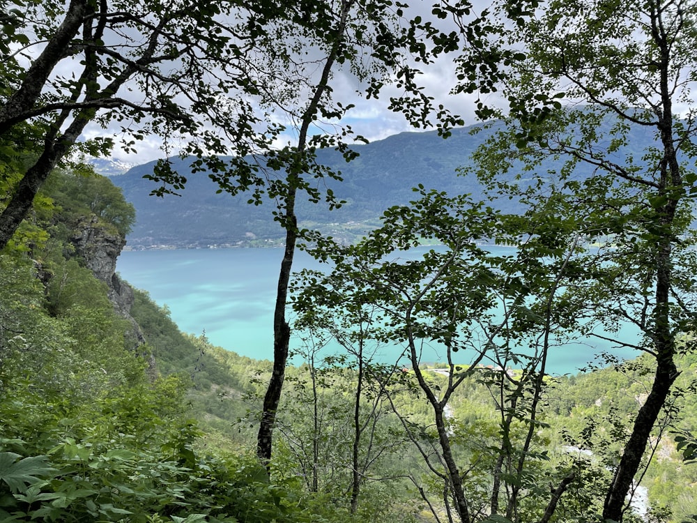 Una vista de un lago desde una colina