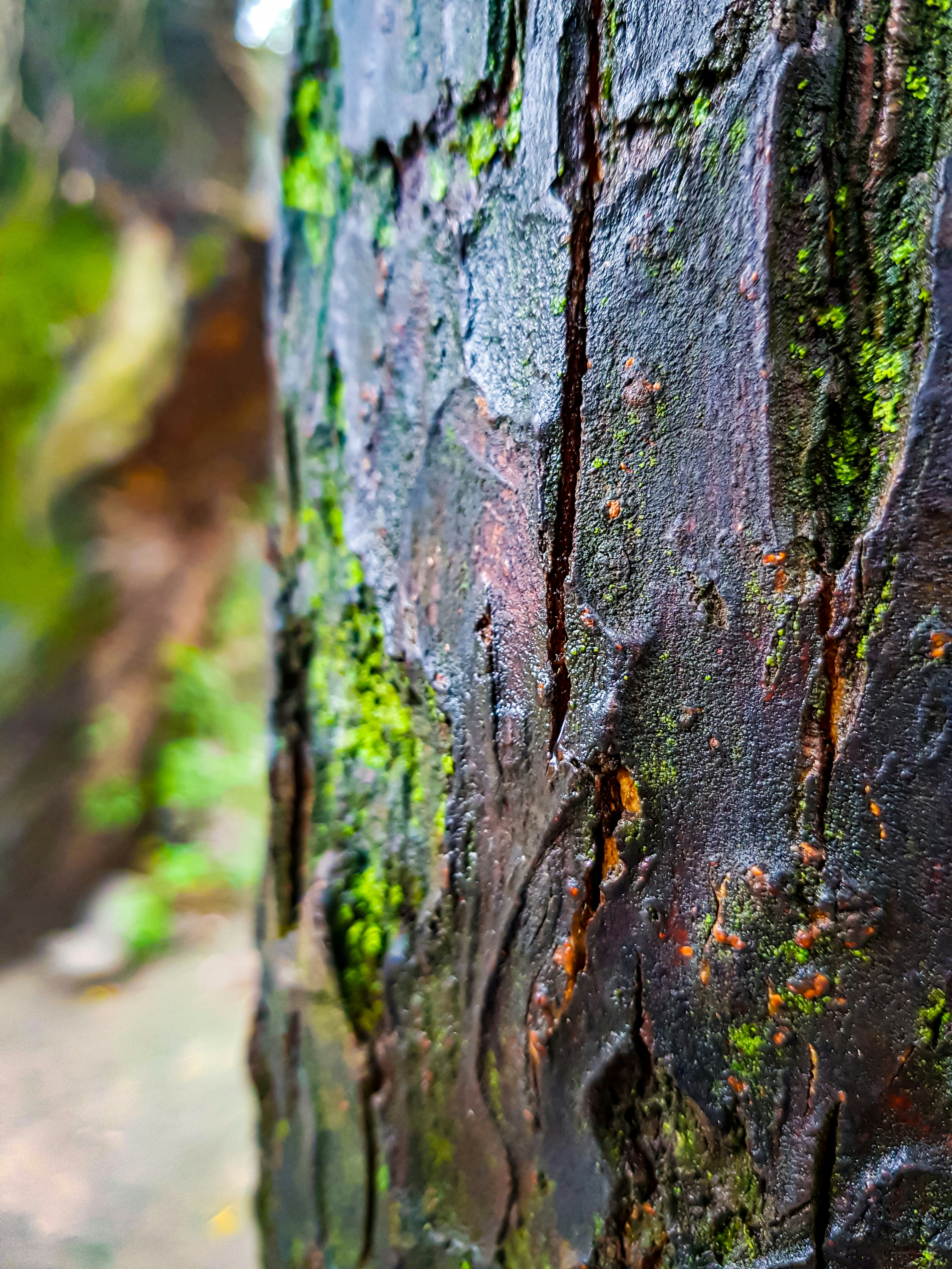 Photo by rehankhan2018