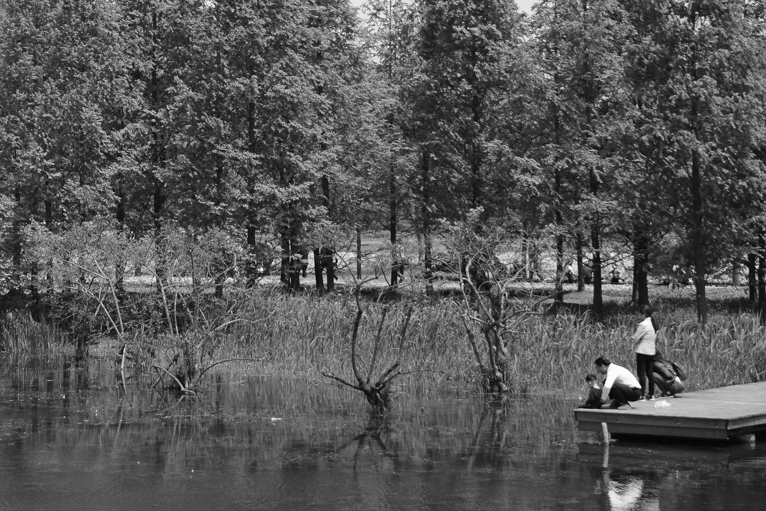 Photo by adriansiaril