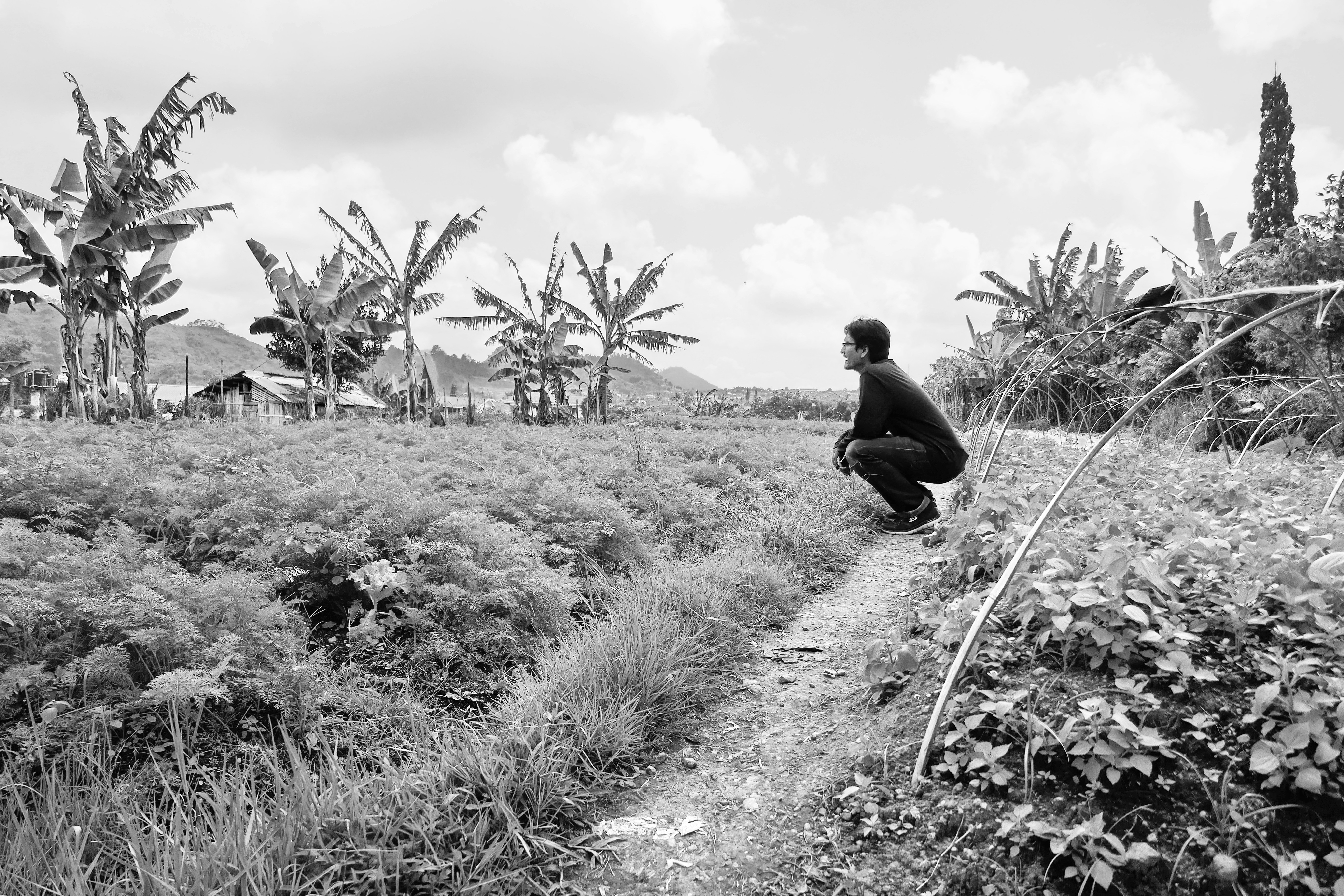 Photo by adriansiaril