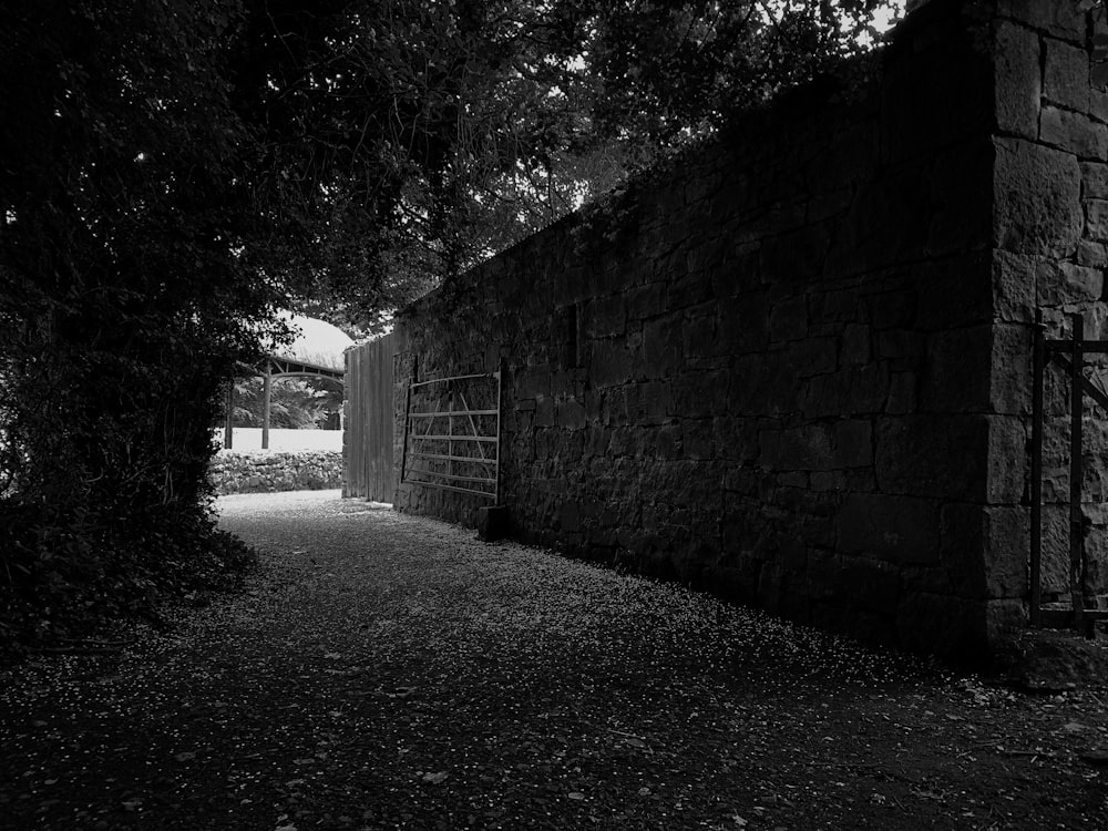 a stone wall with trees on the side