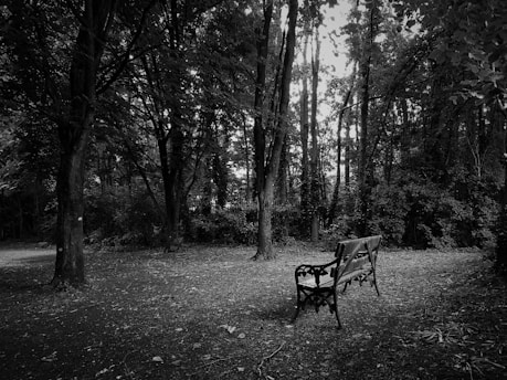 Black and white photo of a weathered wooden bench under a sprawling leafless tree, evoking quiet reflection.