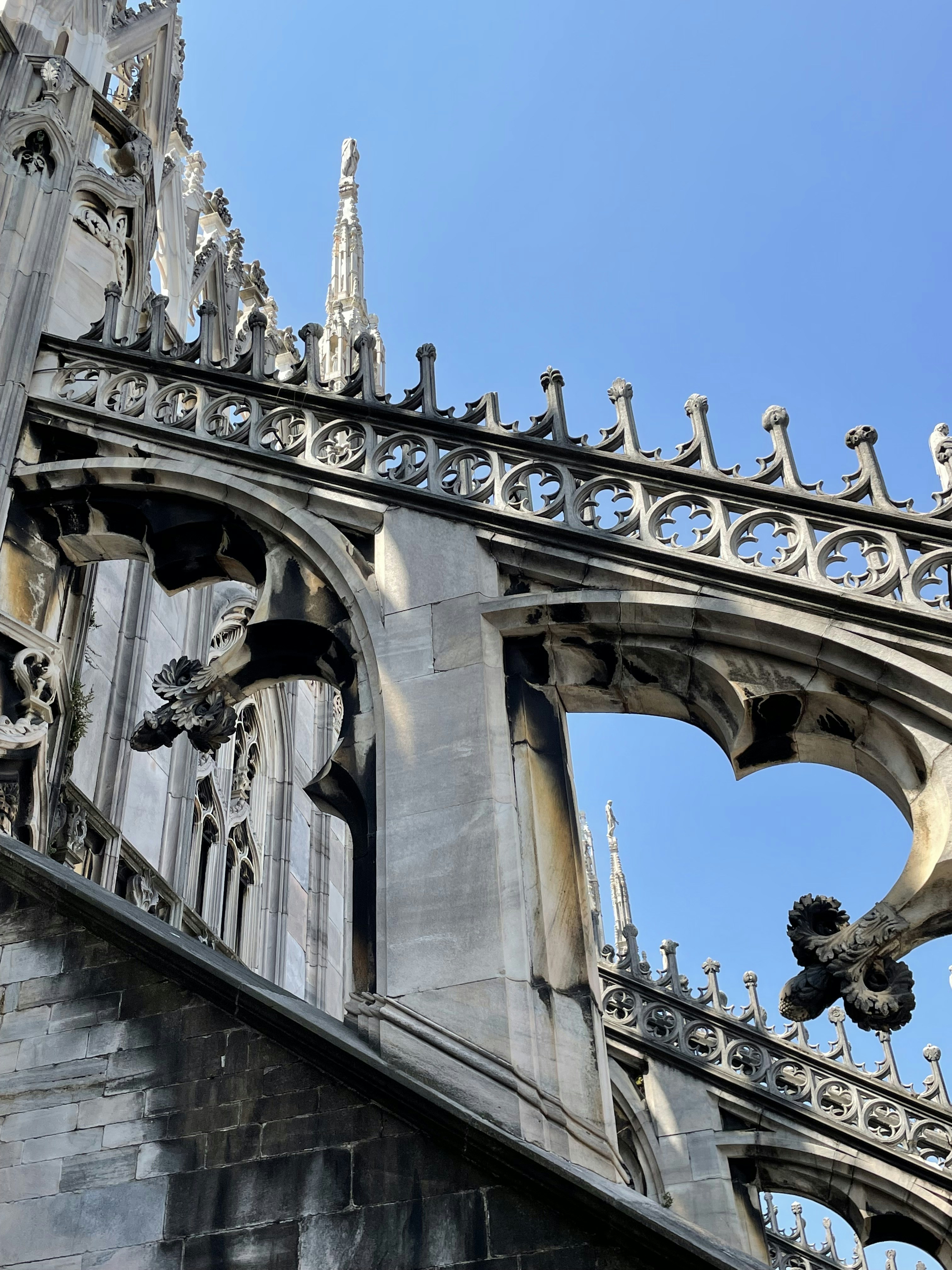 Photo by paolaarrigoni22