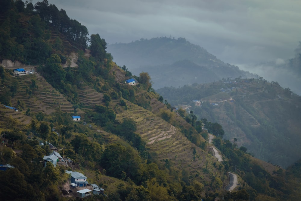 a group of houses on a hill