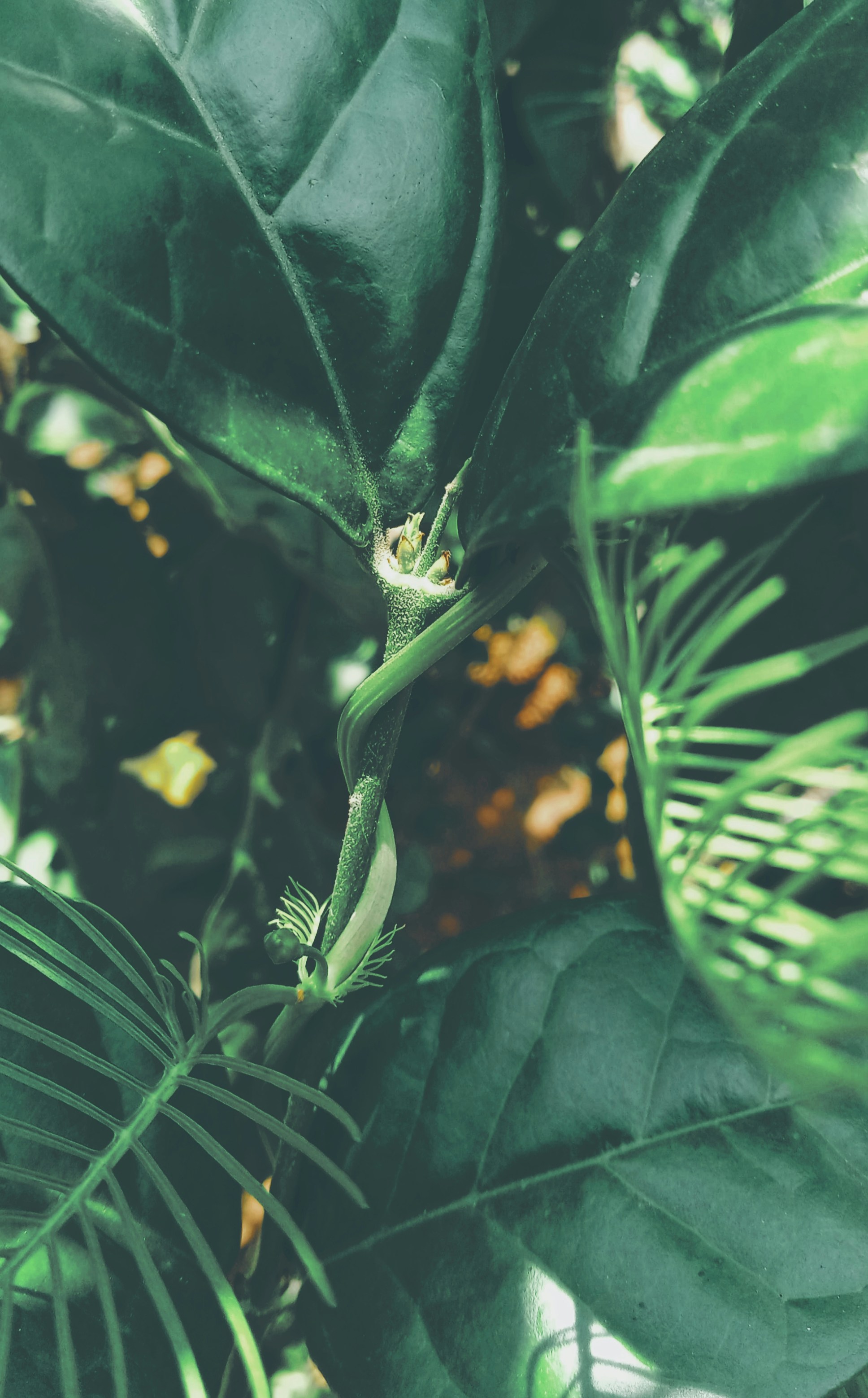 Photo by samuel15022004