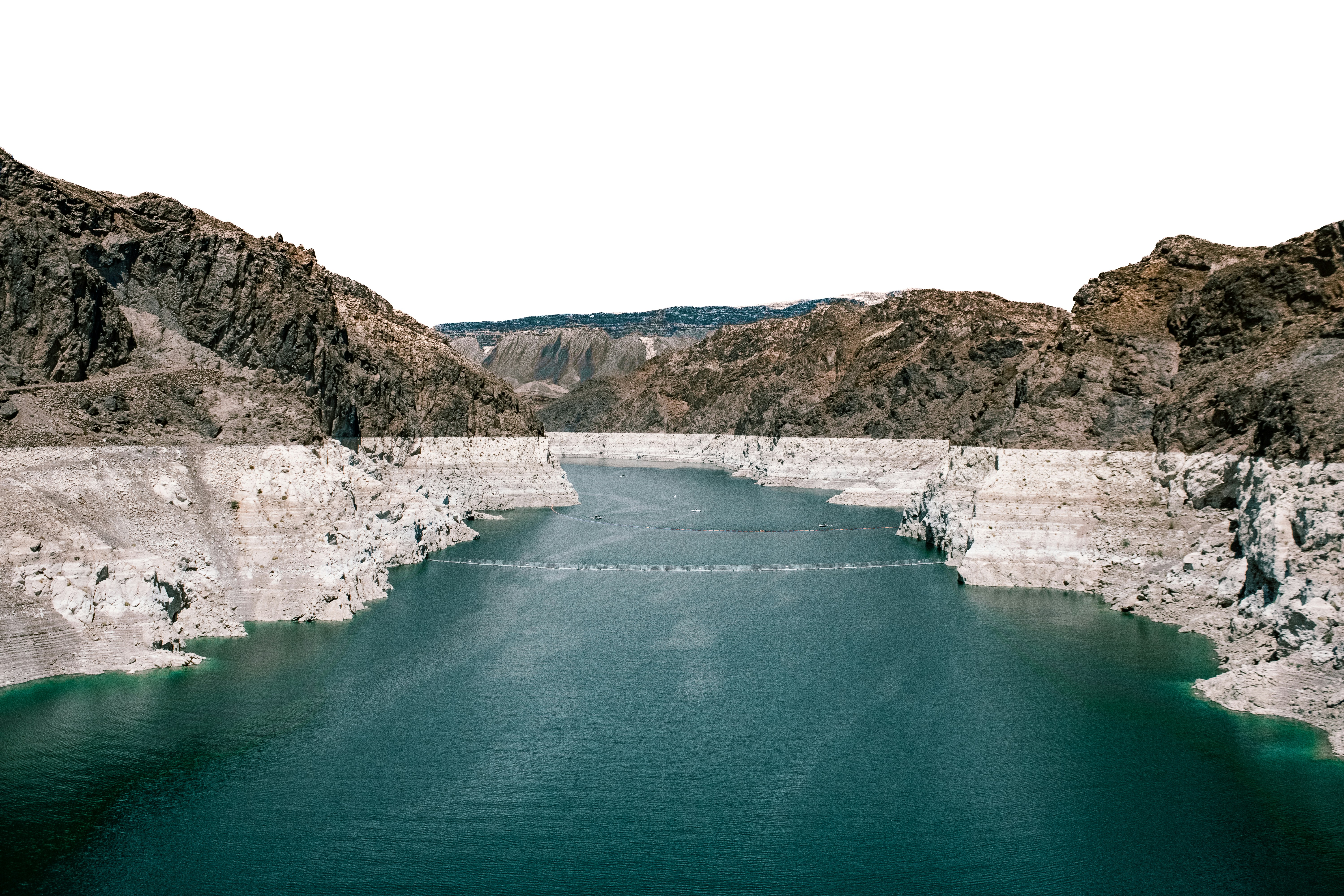 Photo by elianna_gill03