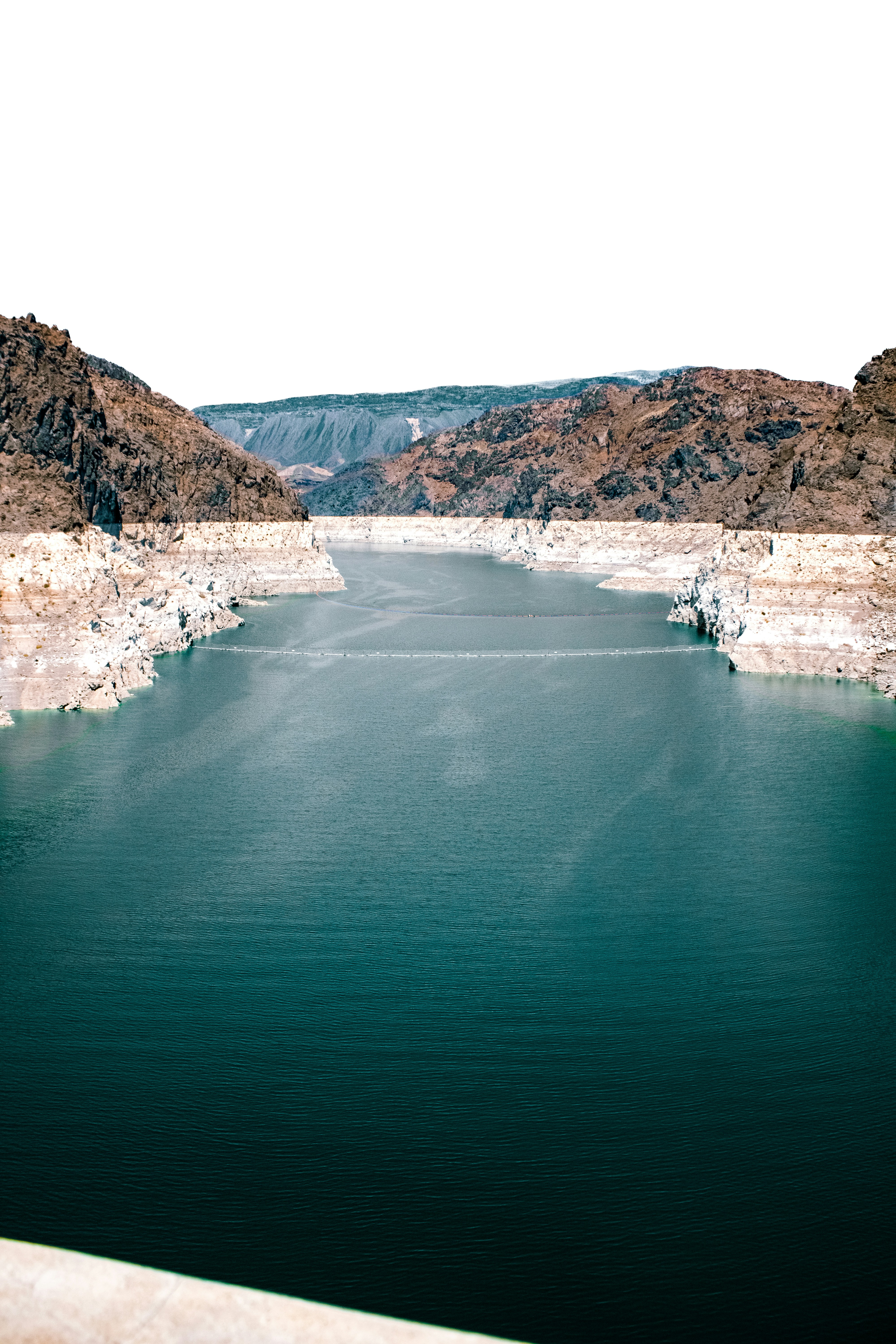 Photo by elianna_gill03