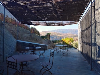 A family enjoying a barbecue on the cabin’s patio with vineyard hills in the background.