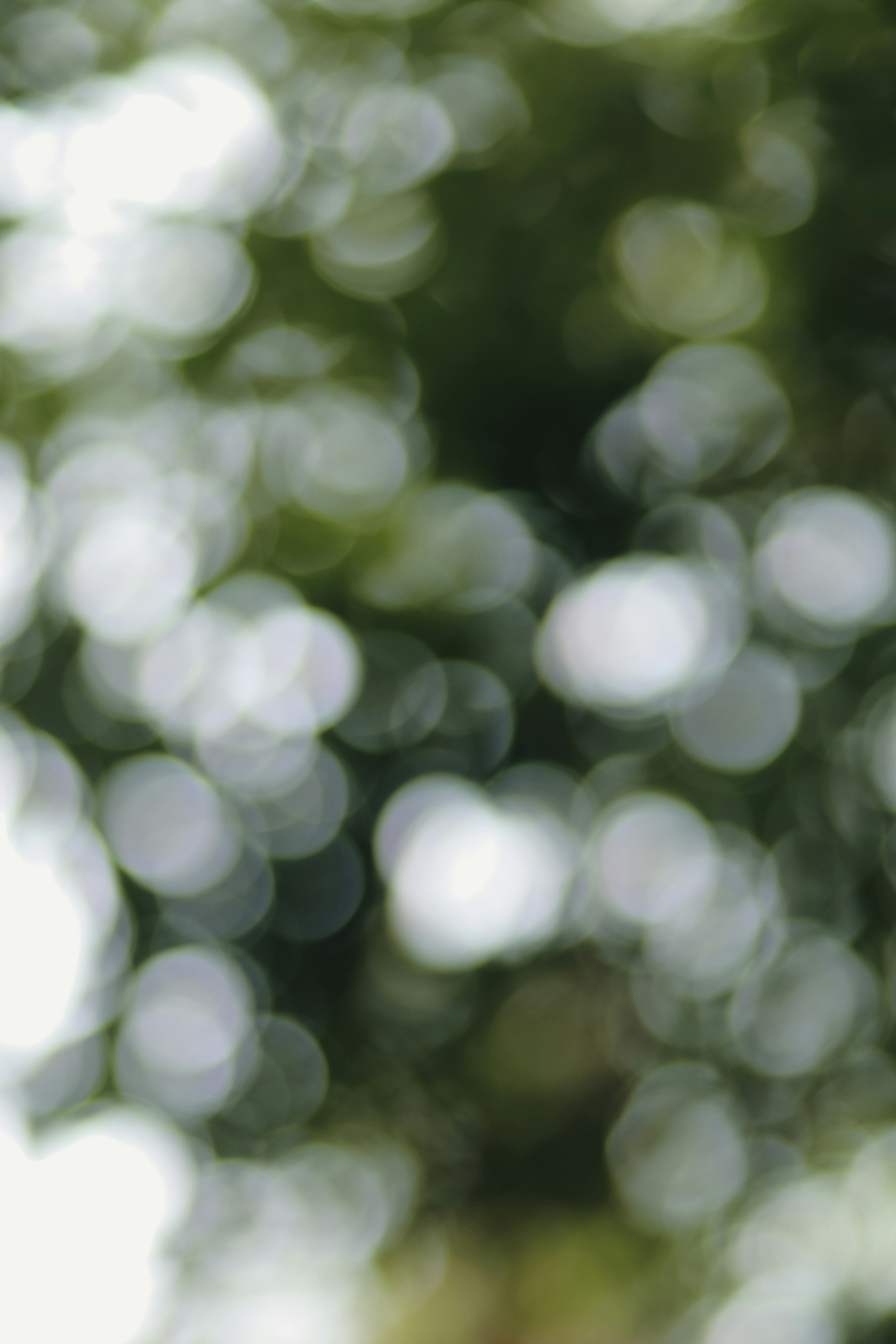 Photo by niranjan_photographs