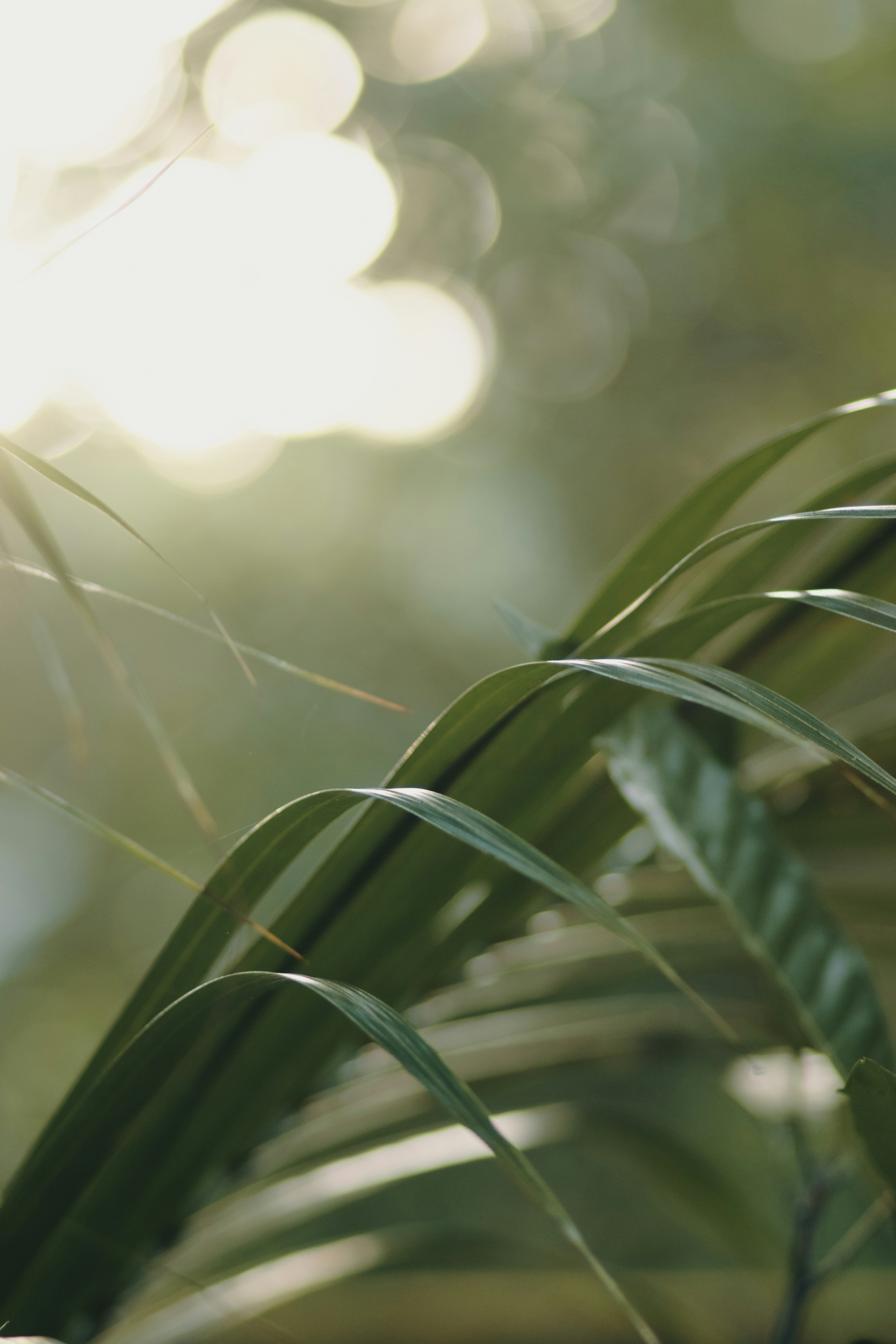 Photo by niranjan_photographs