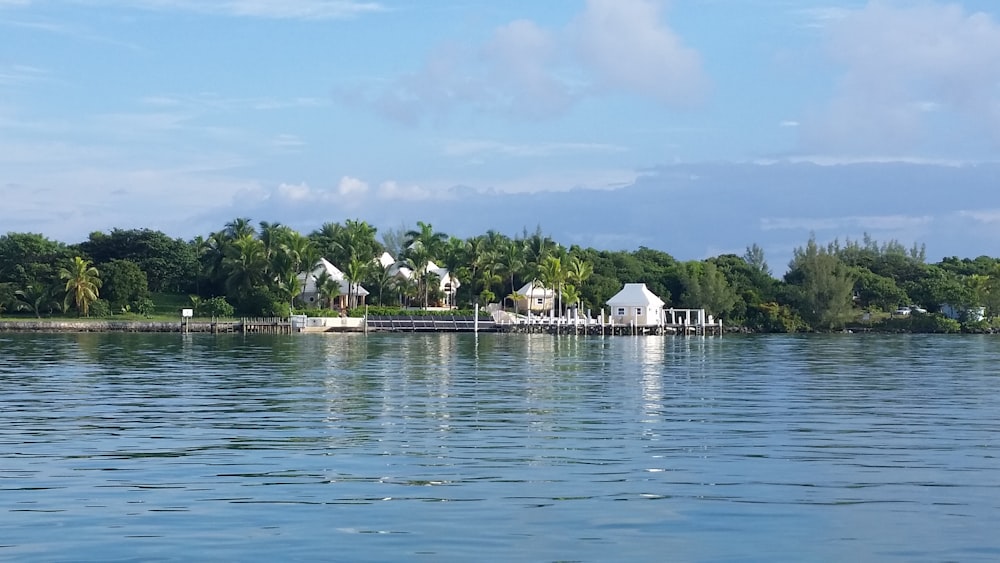 a body of water with buildings and trees around it