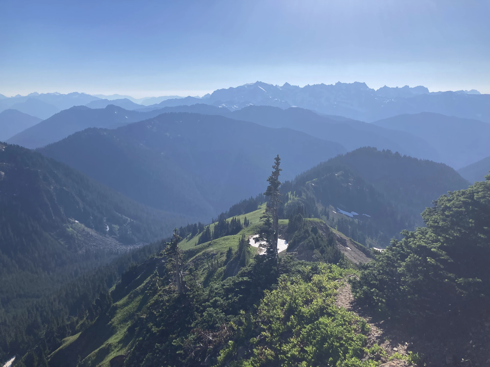 a landscape with trees and mountains