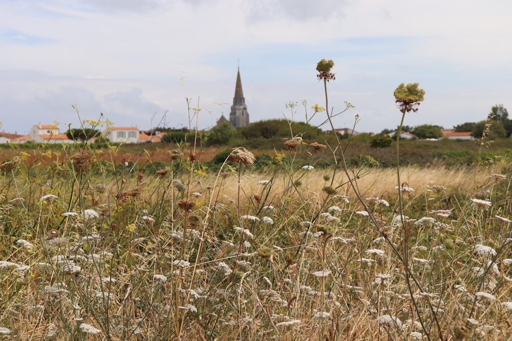 a field of flowers with a church in the background