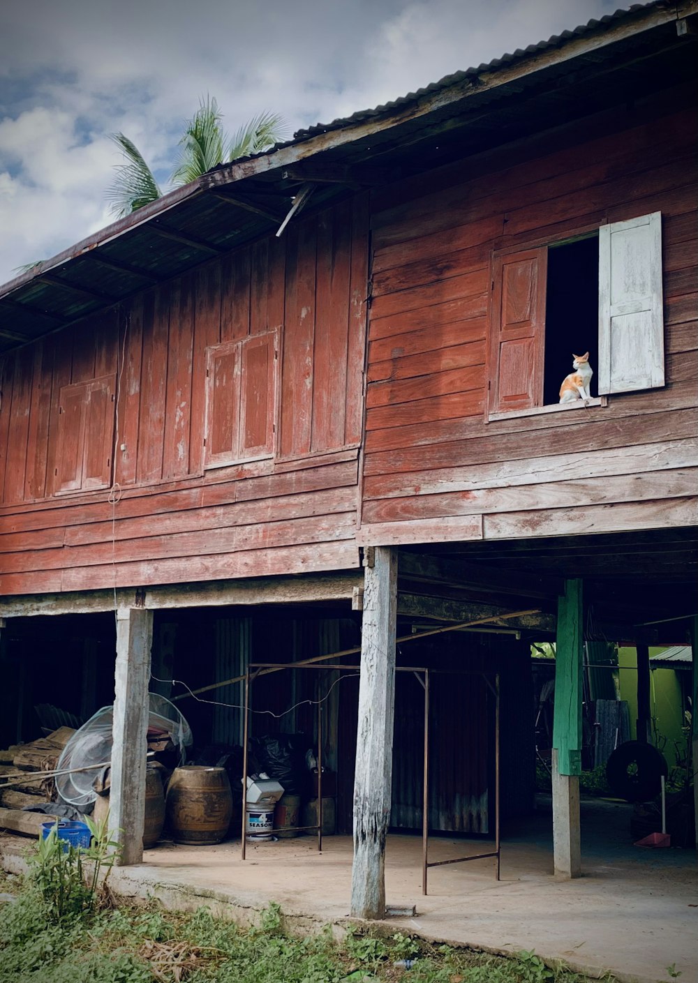 a wooden house with a dog sitting in the window