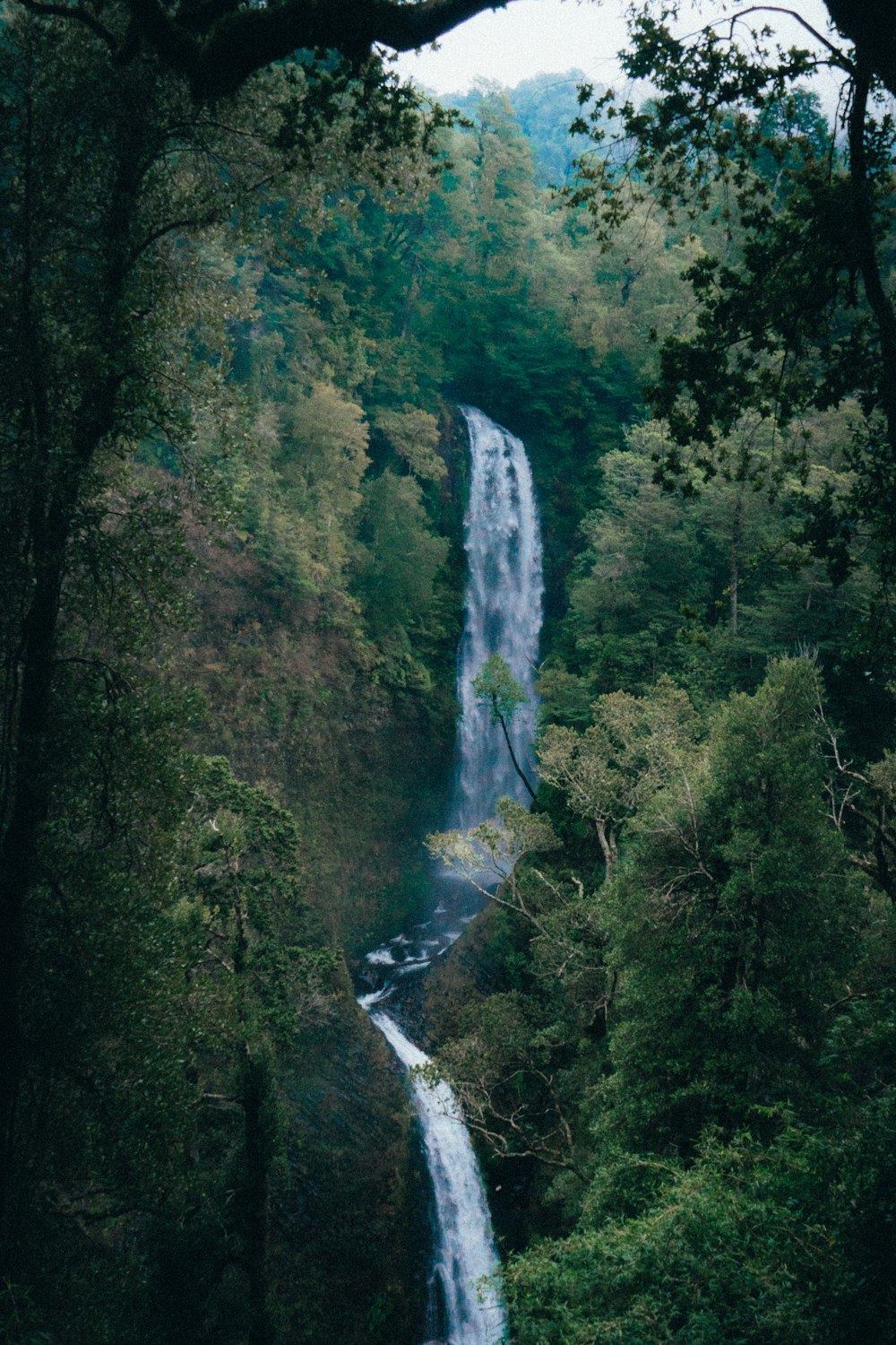 a waterfall in a forest