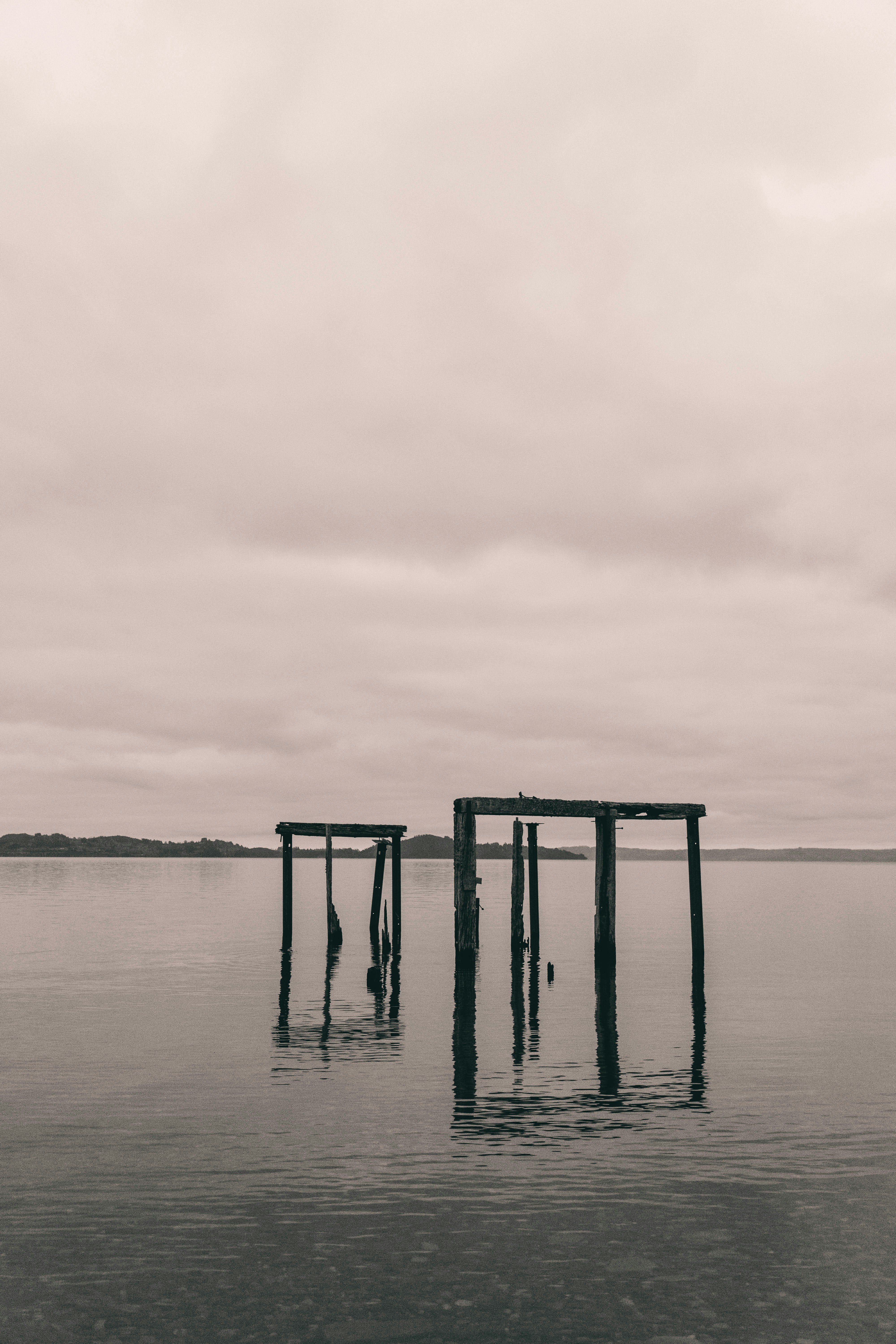 Photo by gustavo0351