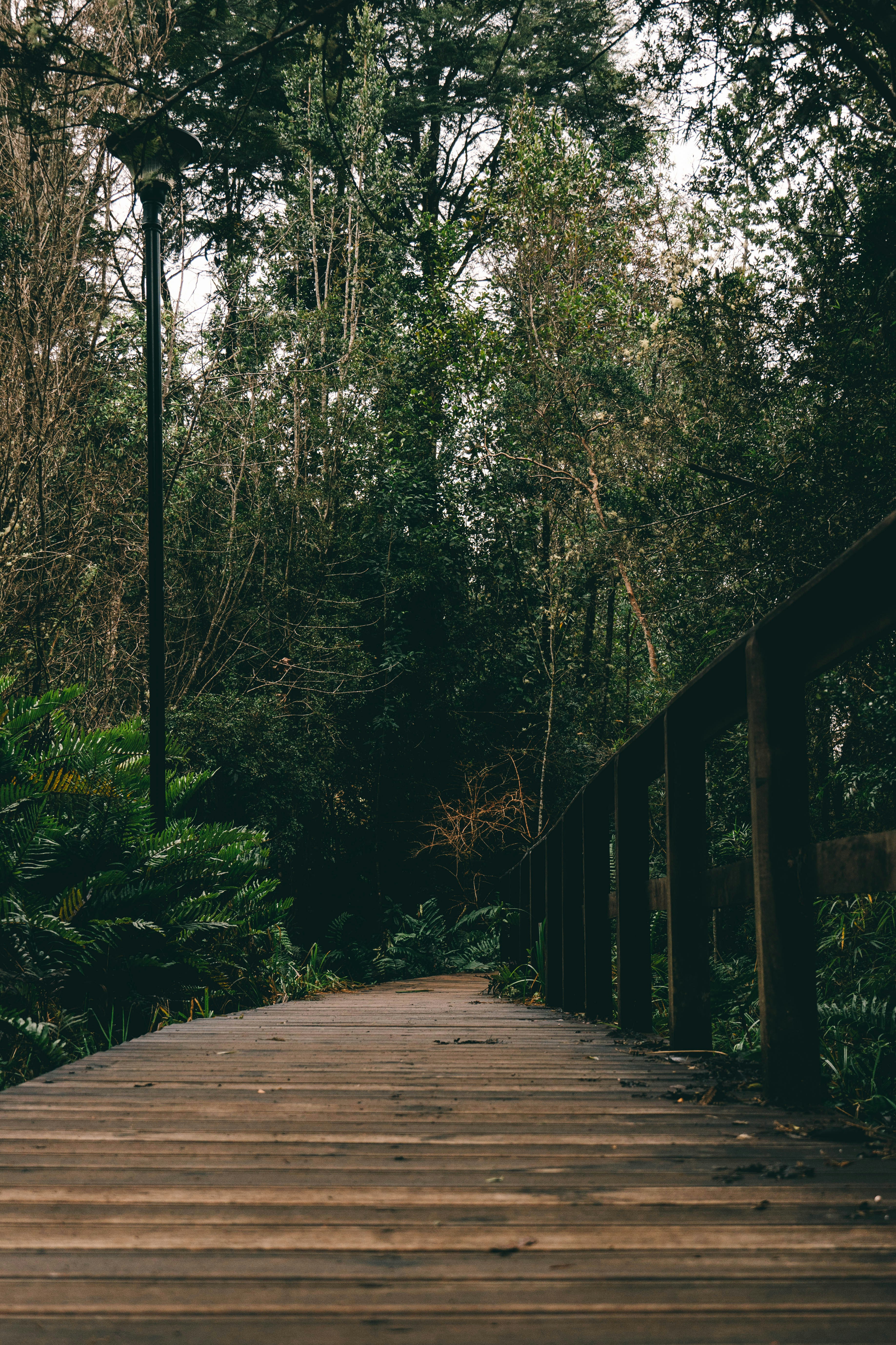 Photo by gustavo0351