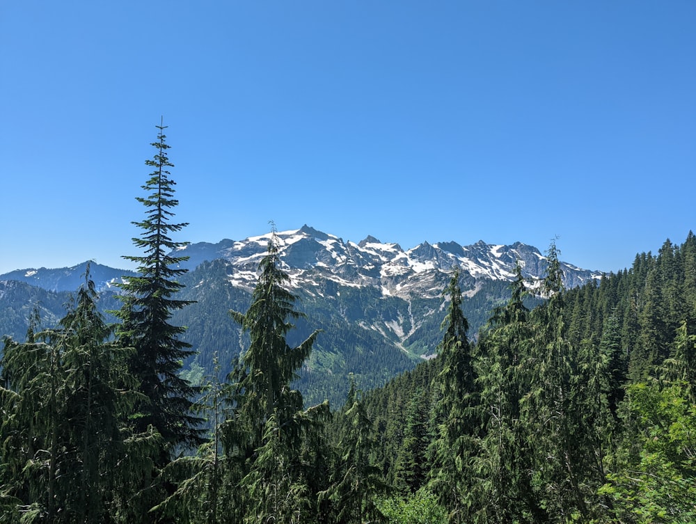 a snowy mountain range