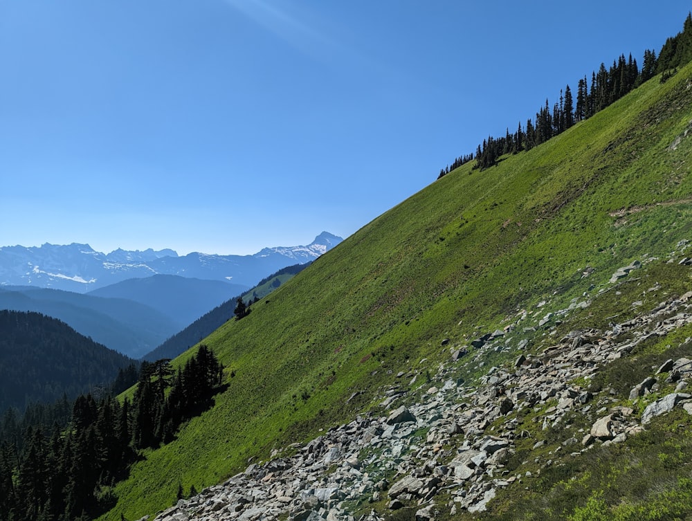 a rocky hillside with trees and mountains