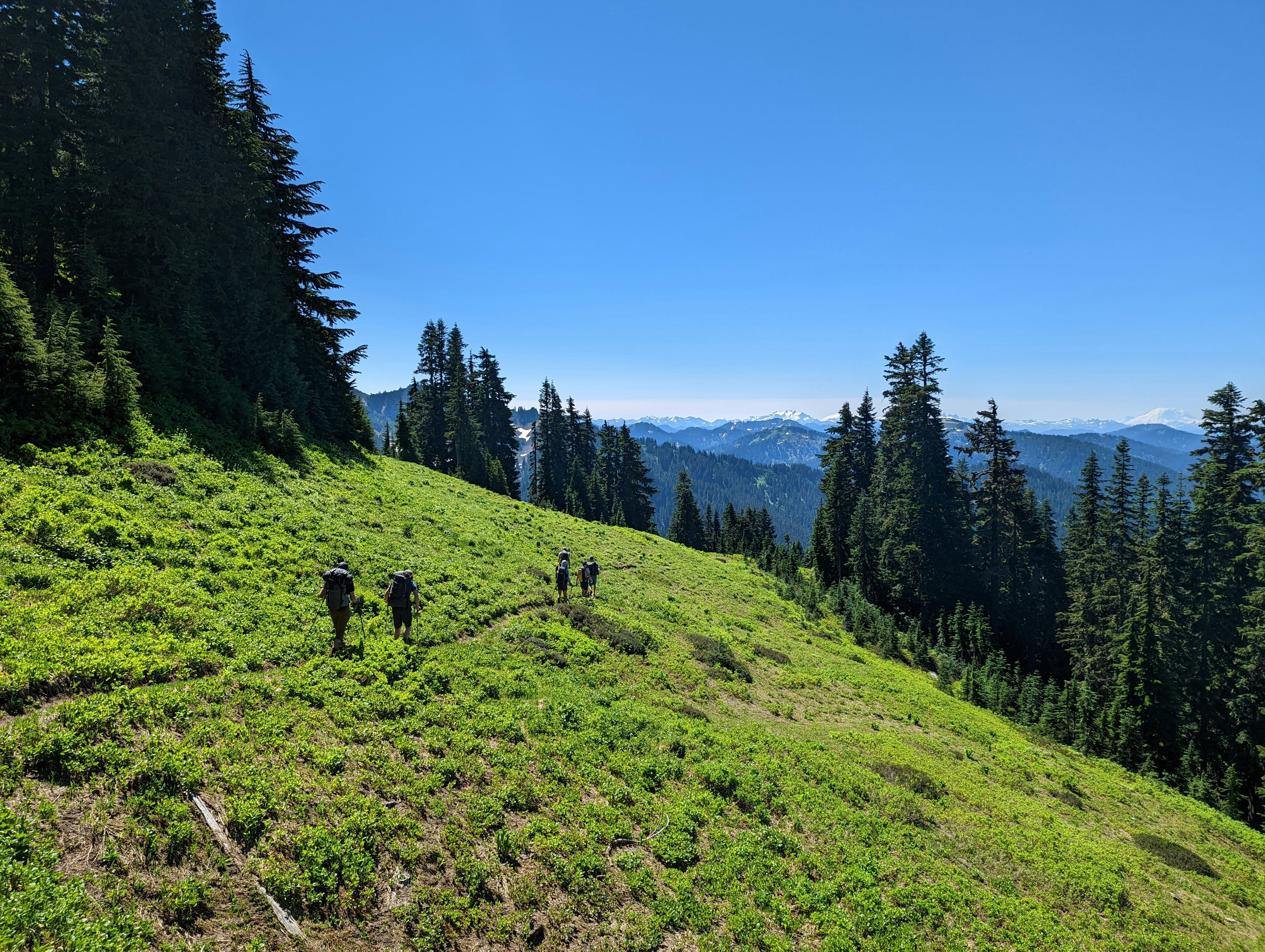 a group of people walking up a hill with trees on it