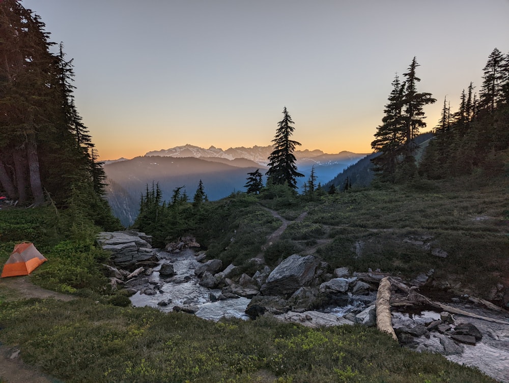 a tent and some trees