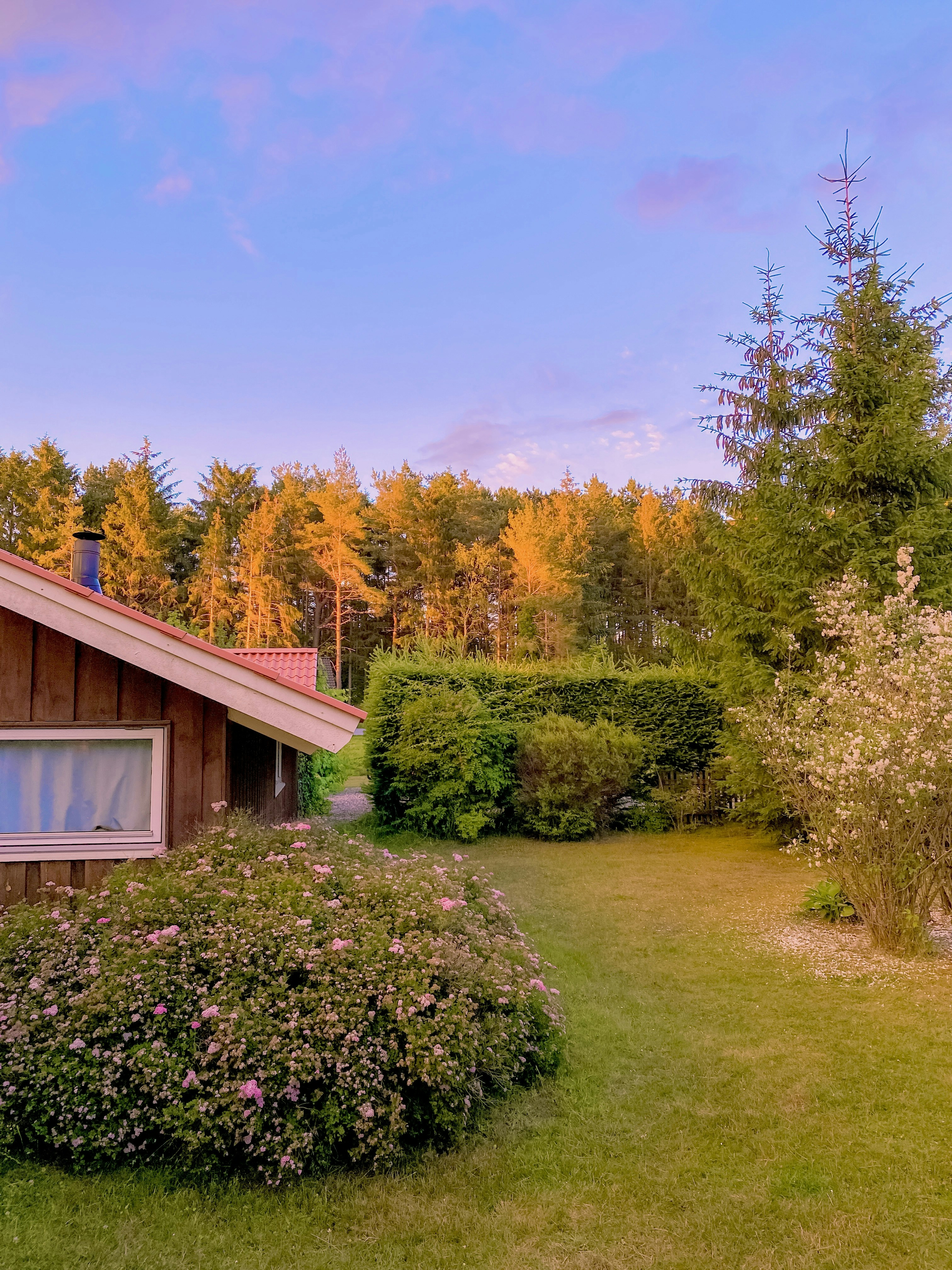 Photo by suphattratoemkrathok