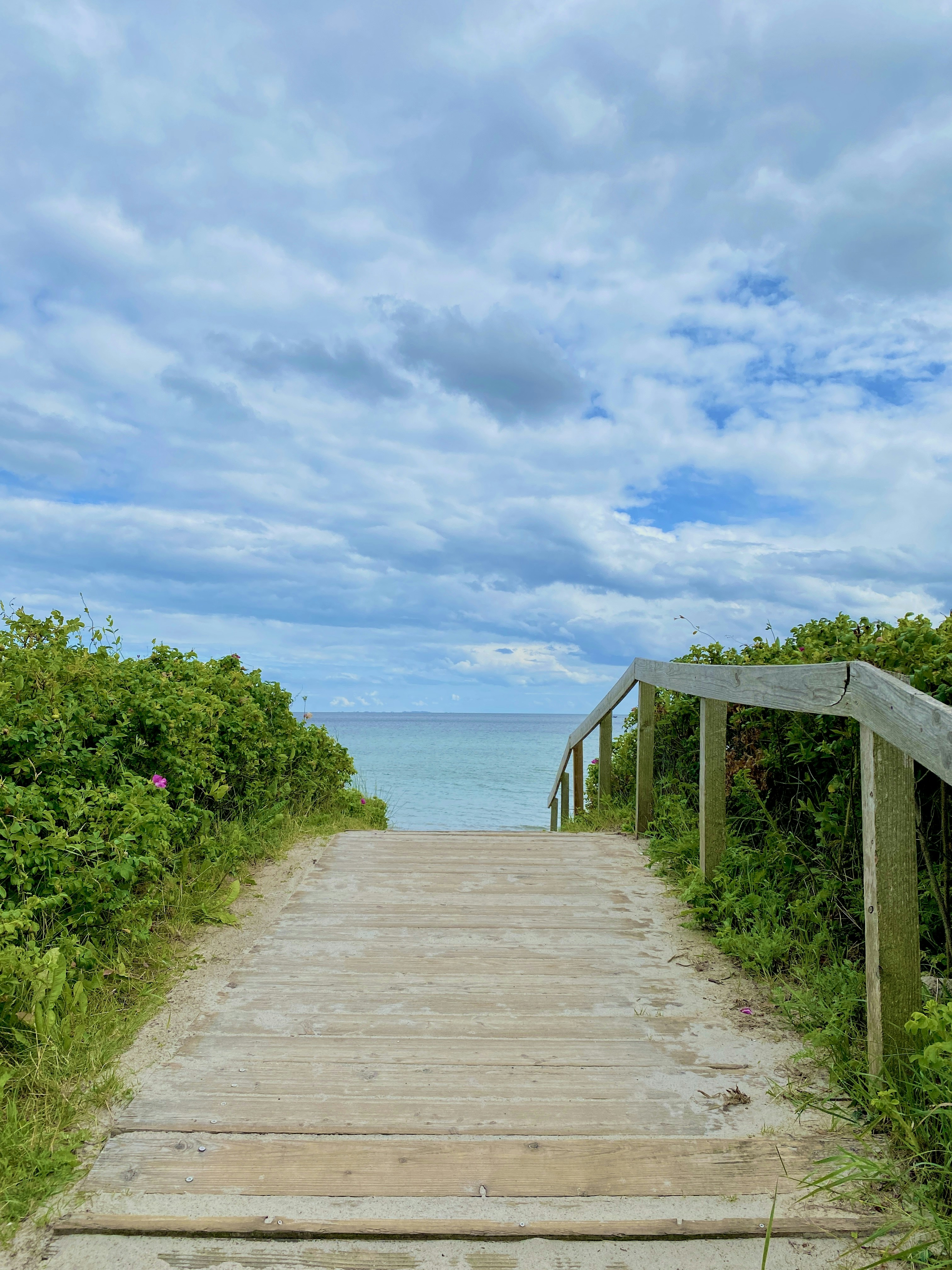 Photo by suphattratoemkrathok