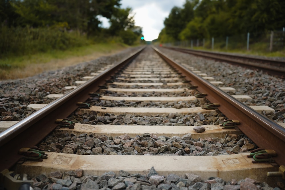 a railroad track with trees on the side