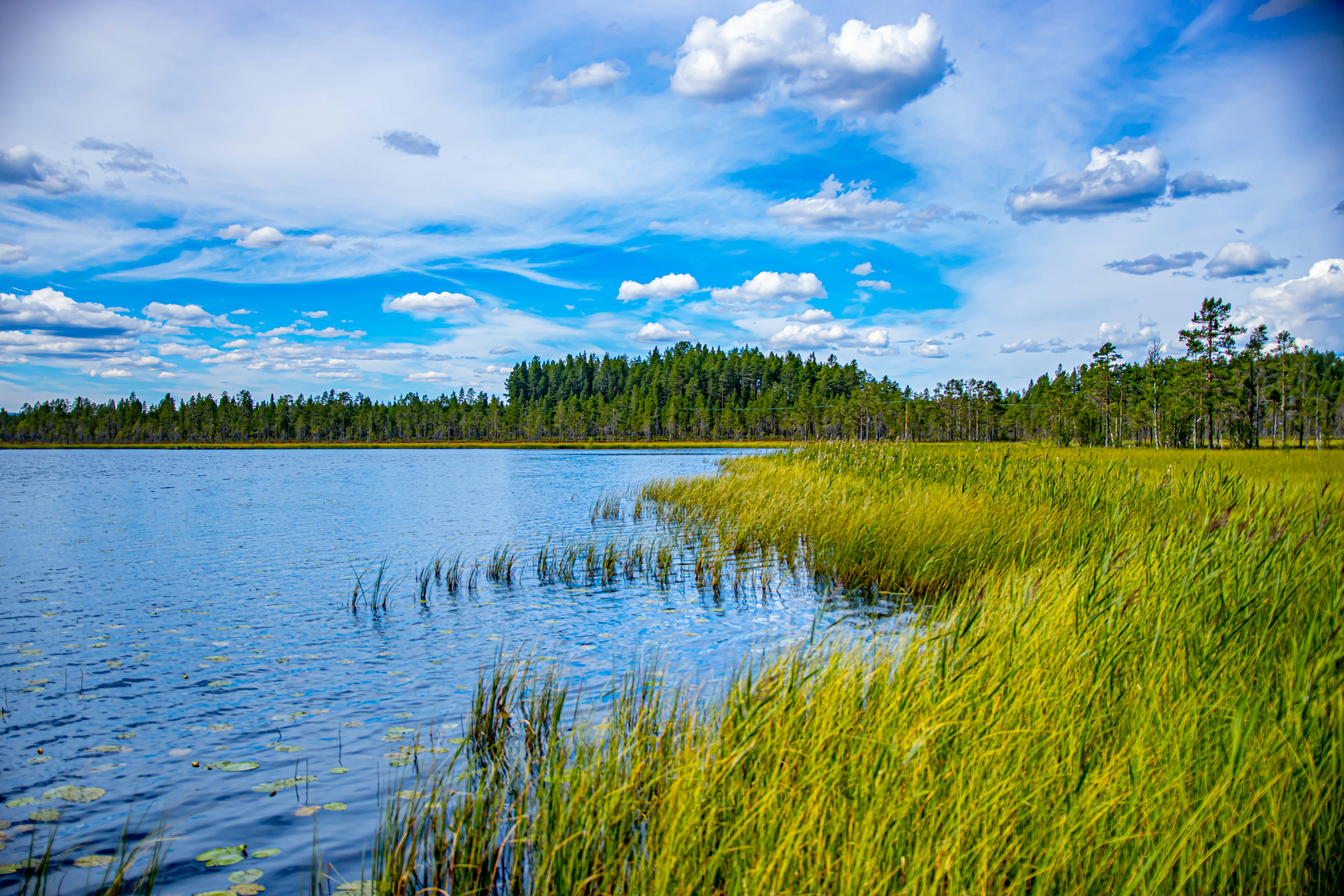 Photo by lassenystedtfoto