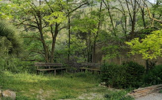 A peaceful retreat garden with comfortable seating surrounded by greenery.