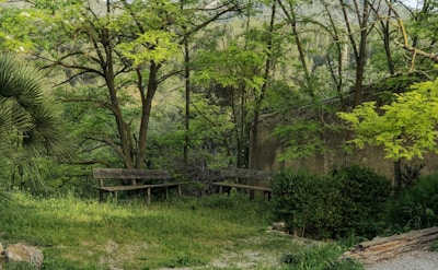 Peaceful garden area with benches and greenery for relaxation.