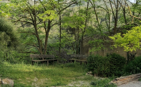 A serene retreat space surrounded by nature with comfortable seating areas.