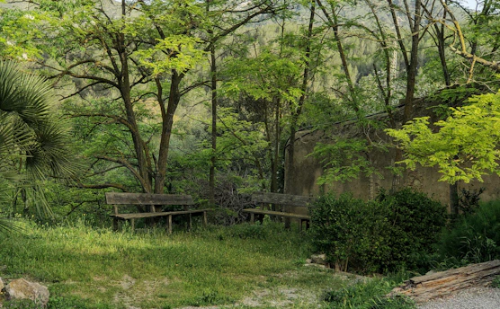 Tranquil garden area with benches surrounded by greenery in a peaceful neighborhood.