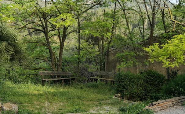 Peaceful garden area with benches and greenery, perfect for a quiet moment.