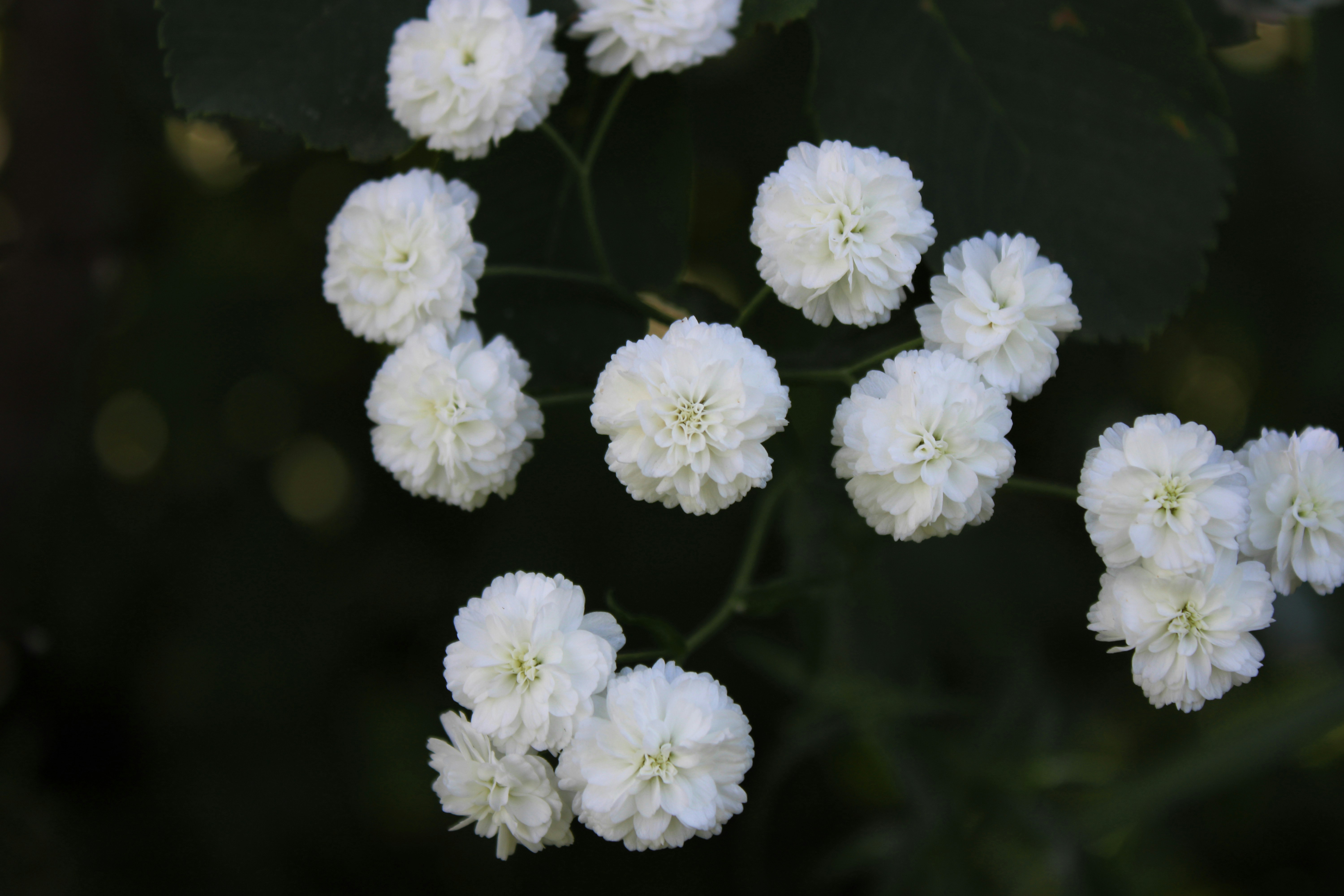 Photo by slenderamigo