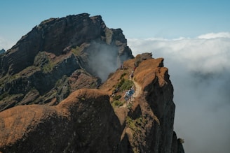 a group of people climbing a mountain