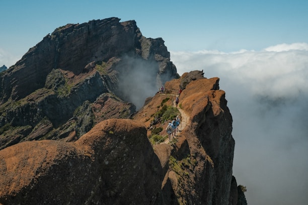 a group of people climbing a mountain