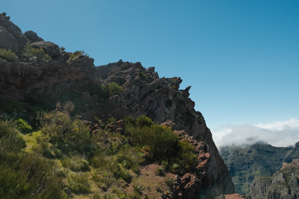 Ein felsiger Berg mit Bäumen