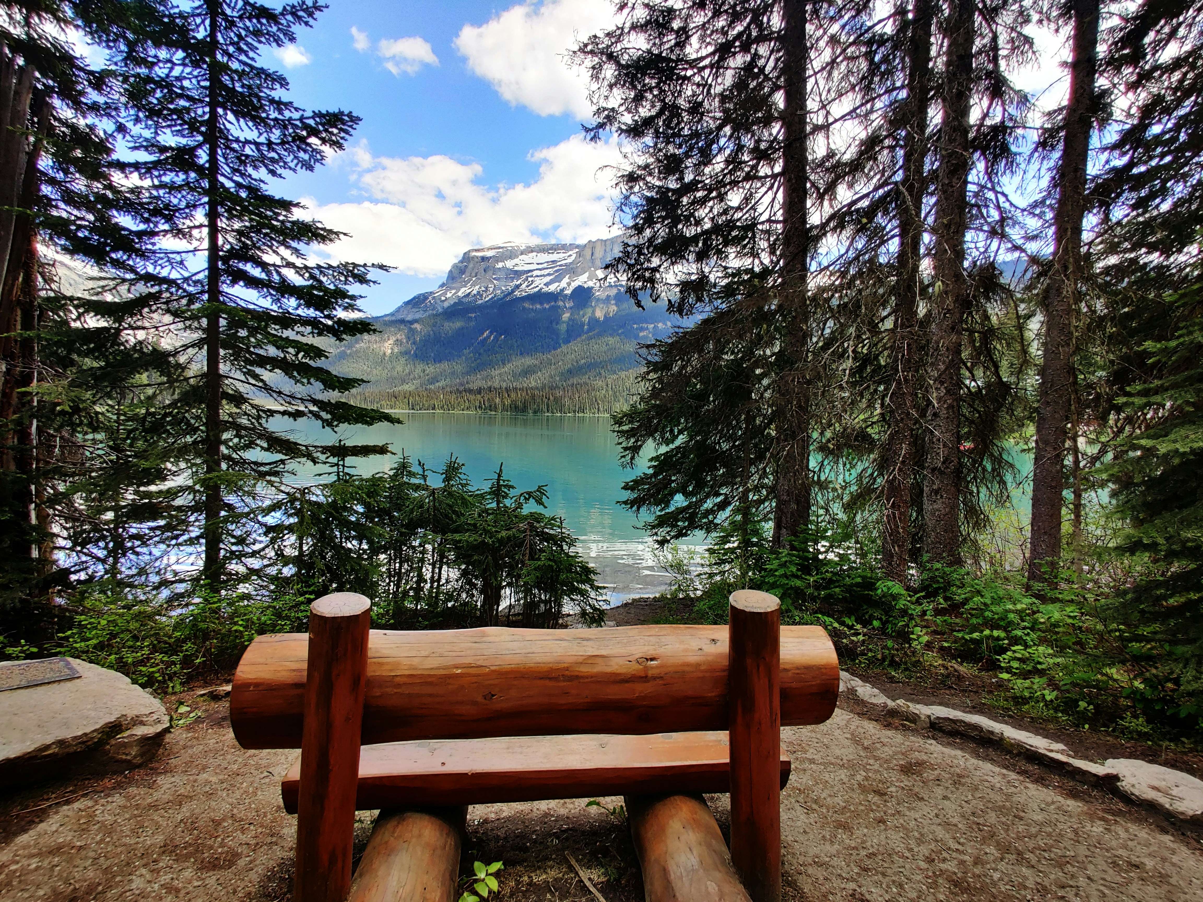 a bench overlooking a lake, 
