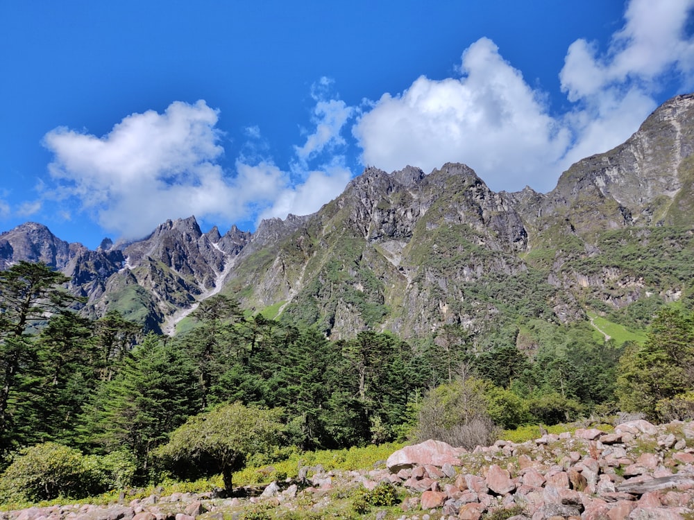 a rocky area with trees and mountains in the background