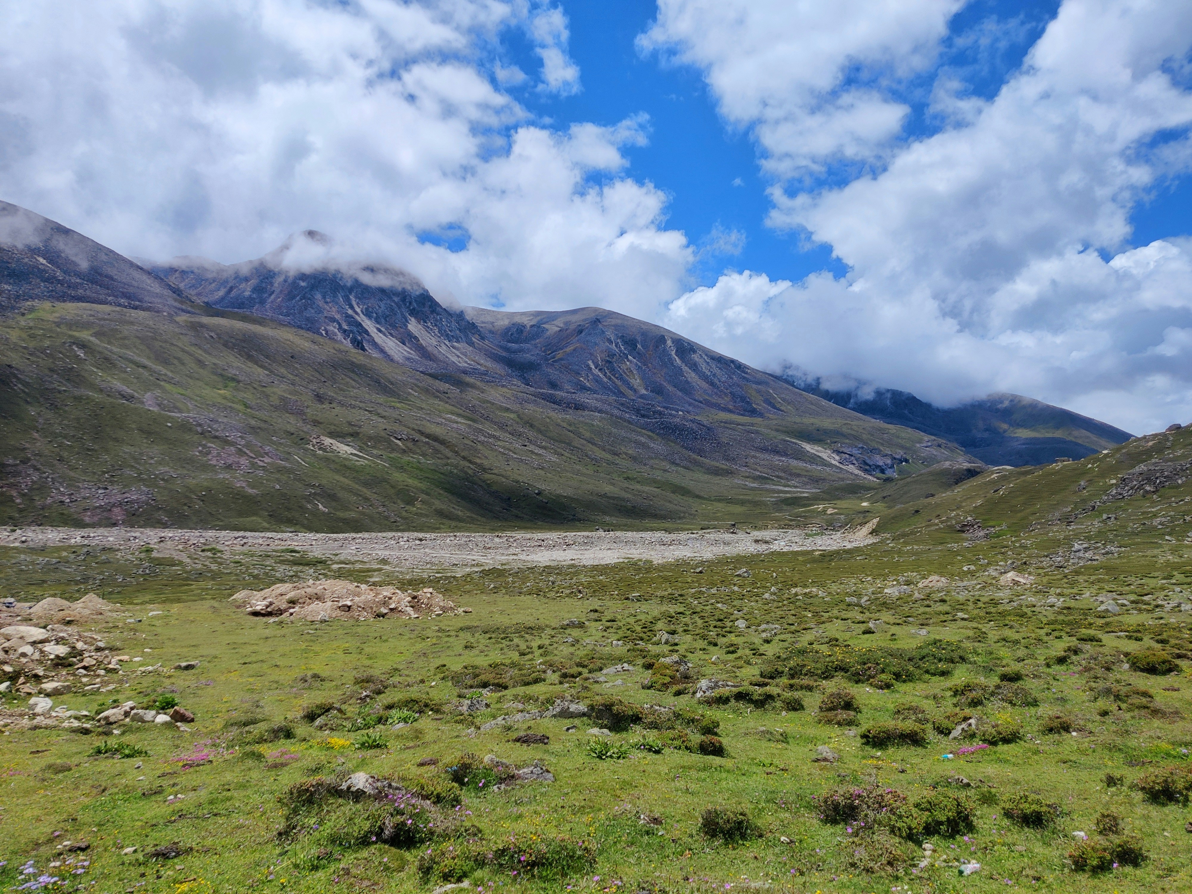 Photo by saiefalemon