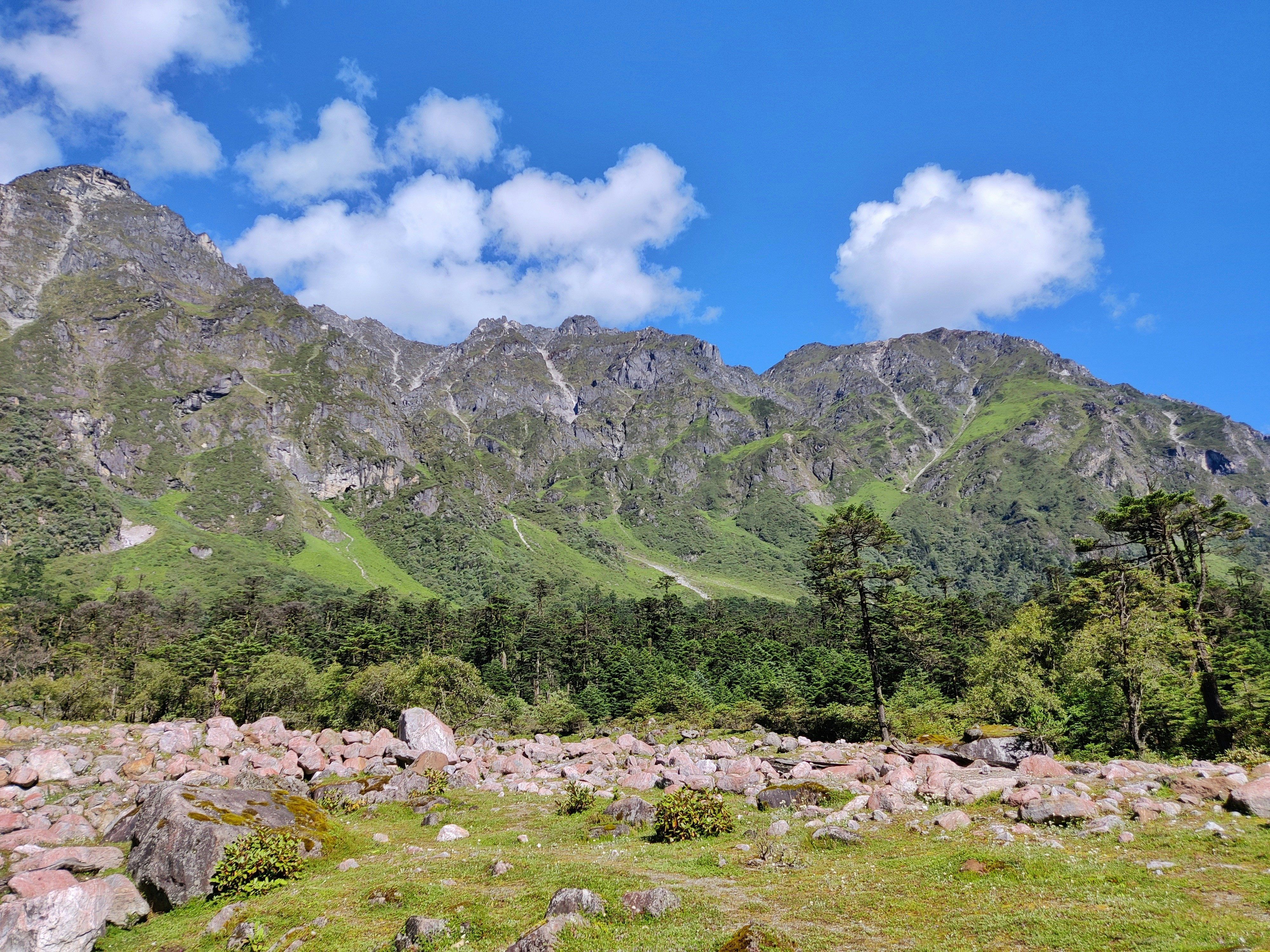 Photo by saiefalemon