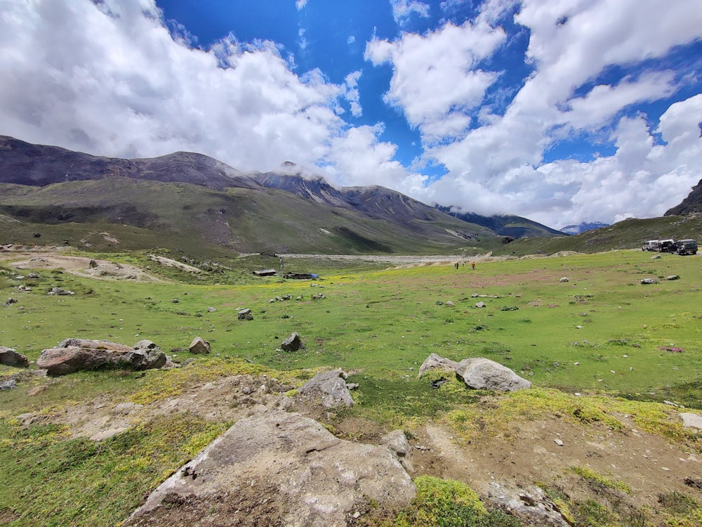 a grassy field with rocks