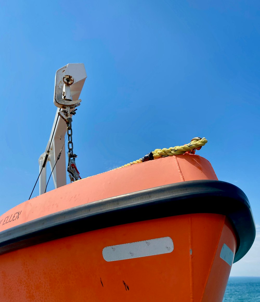 a lizard on a boat